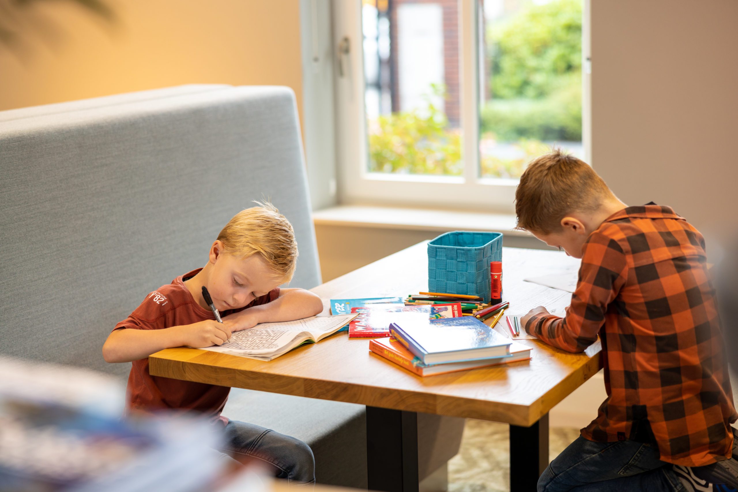 Dutch language course for all kids | edufax